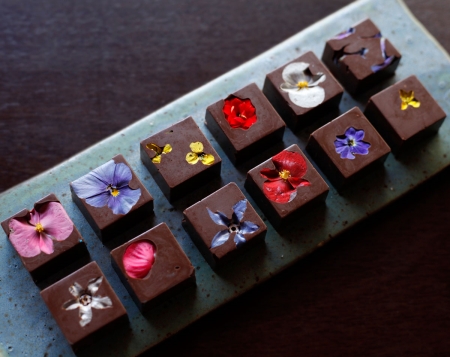 Loja: Chocolateria Brasil - Imagem de Destaque